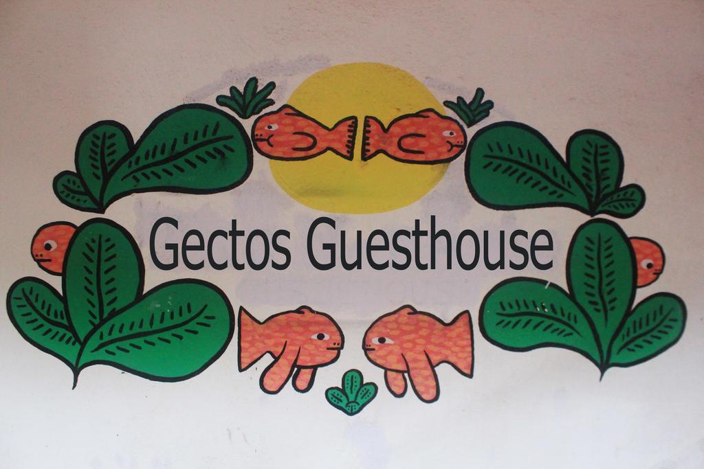 Cactus Guesthouse Arambol Exterior foto