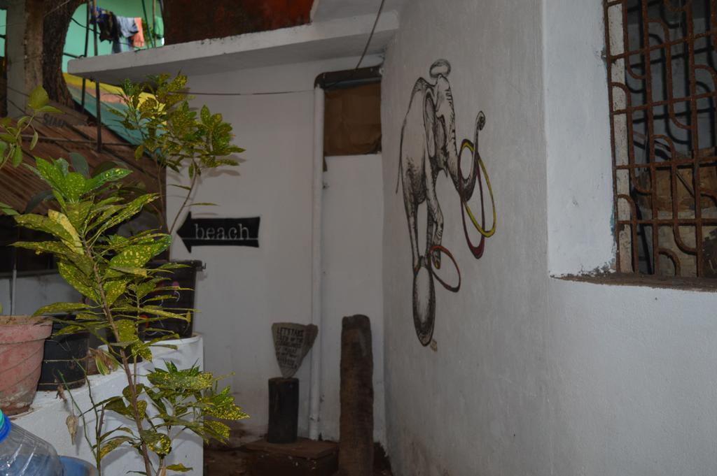 Cactus Guesthouse Arambol Exterior foto